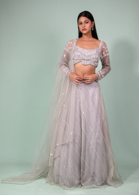 Grey Lehenga And Crop top Embellished With Pearl, cutdana and zardosi work