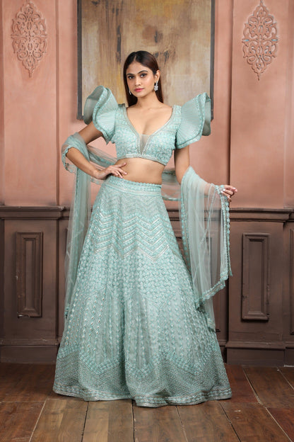 Handwork Mint Green Organza Lehenga & Top With Dramatic Sleeves